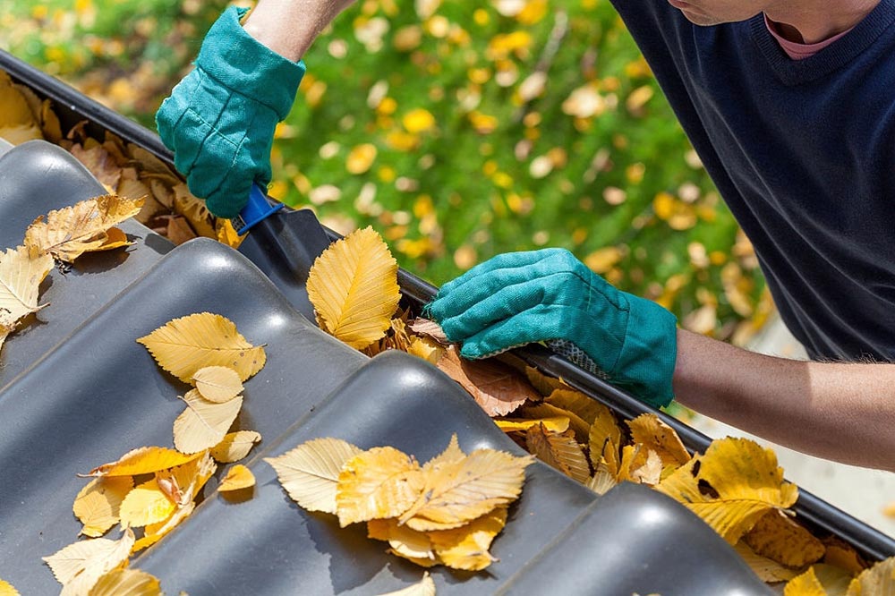 gutter cleaning santa rosa rohenrt park