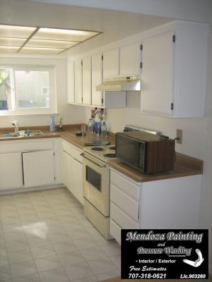 mendoza-painting-interiors-2